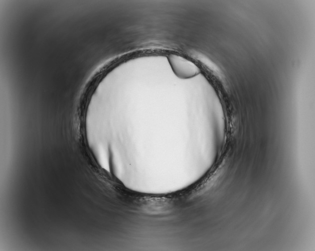 X0000093531310200711091750