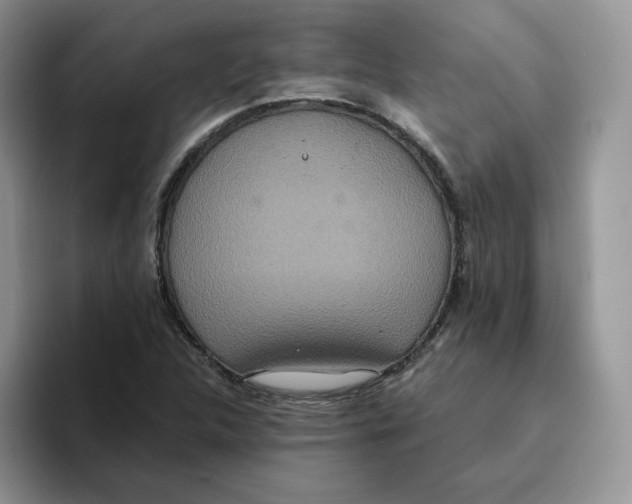 X0000093531312200711091750