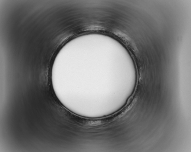 X0000093531313200711091750