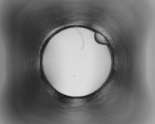 X0000093531316200711091751