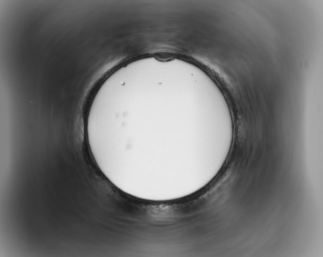 X0000093531317200711091751