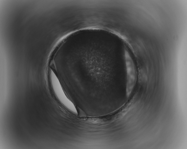 X0000093531319200711091751