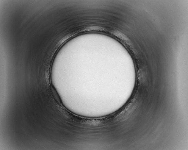 X0000093531321200711091751