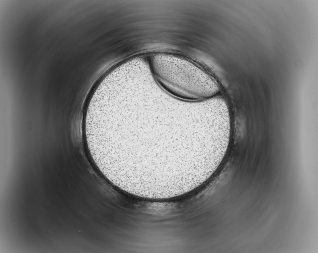 X0000093531322200711091751