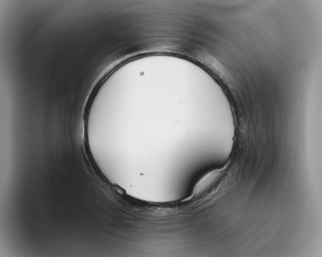 X0000093531324200711091751
