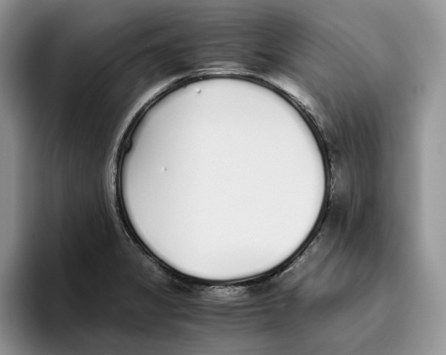 X0000093531325200711091751