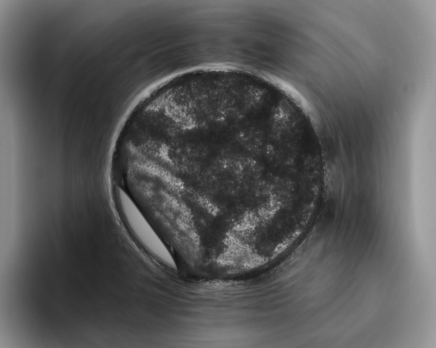 X0000093531327200711091751