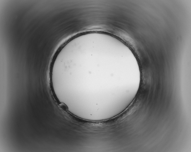 X0000093531328200711091751
