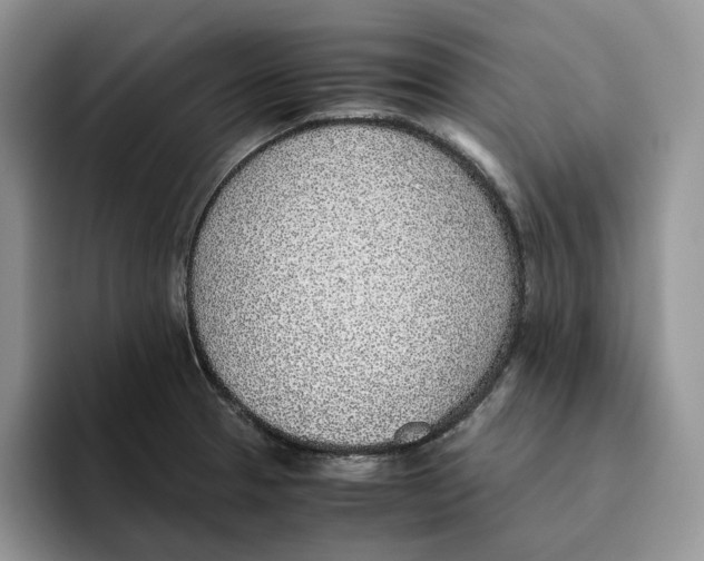 X0000093531329200711091751