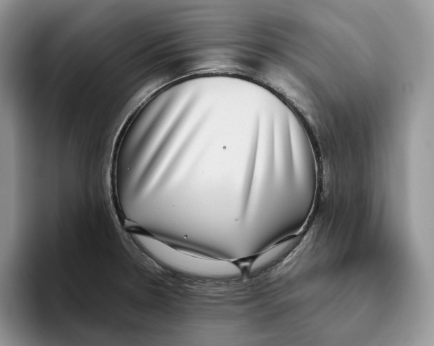 X0000093531330200711091751