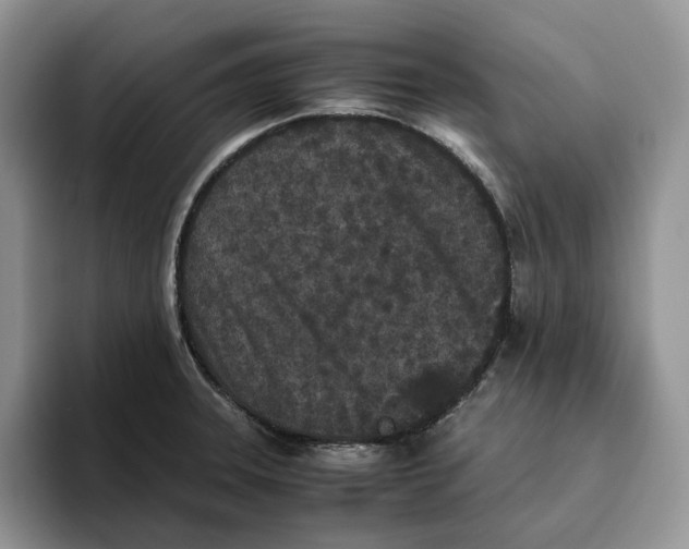 X0000093531331200711091751