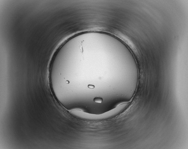 X0000093531332200711091751