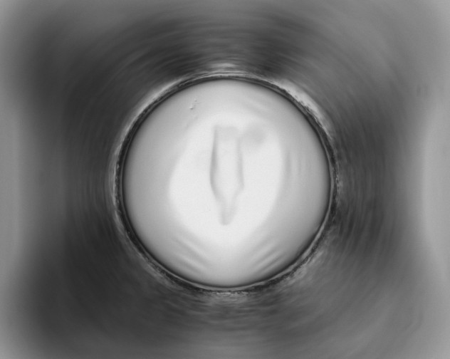 X0000093531333200711091751