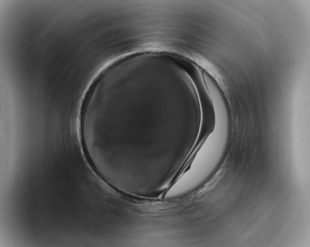 X0000093531334200711091751