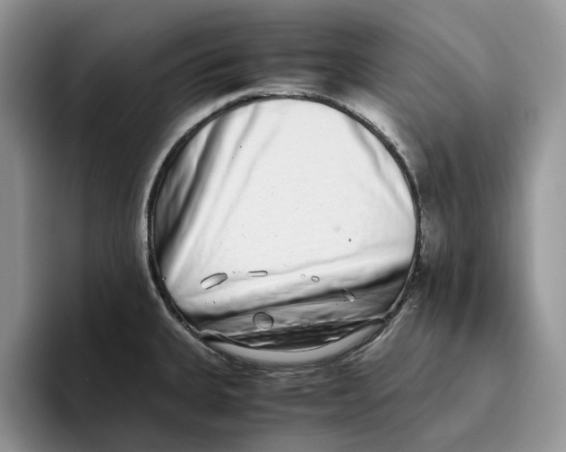 X0000093531335200711091751