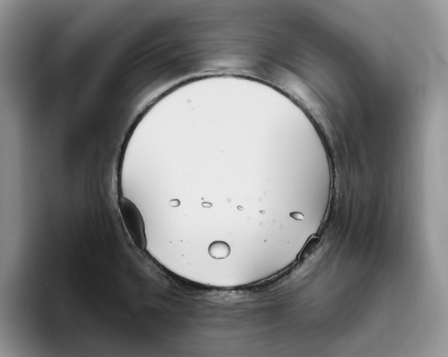 X0000093531336200711091751