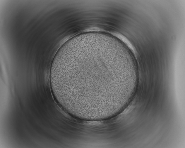 X0000093531337200711091751