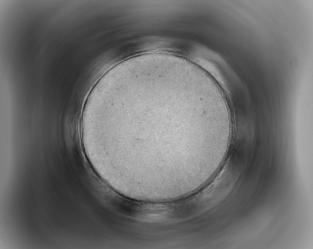 X0000093531338200711091751