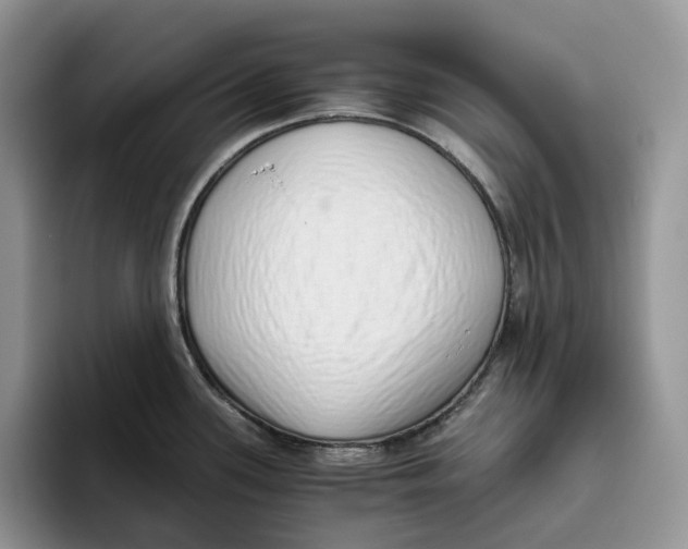 X0000093531339200711091751