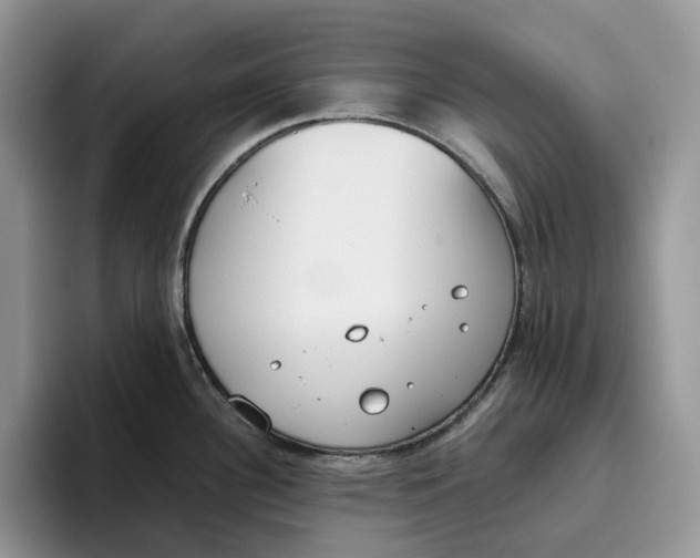 X0000093531340200711091751