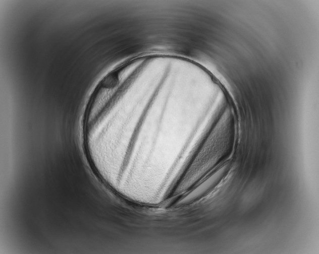 X0000093531341200711091751