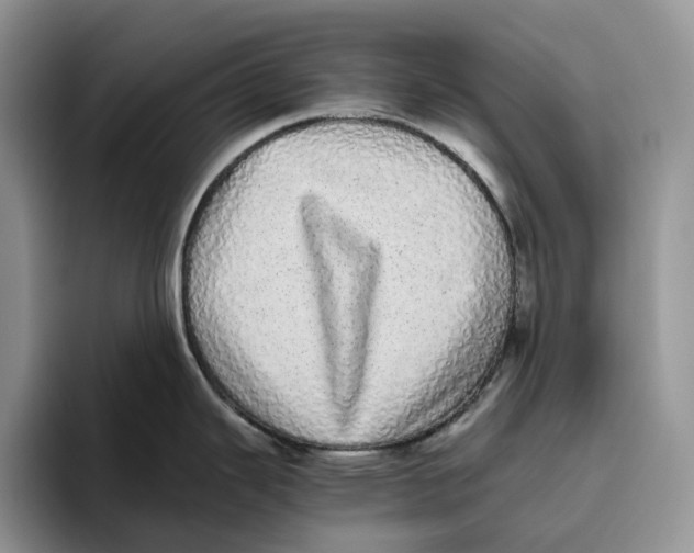 X0000093531343200711091751