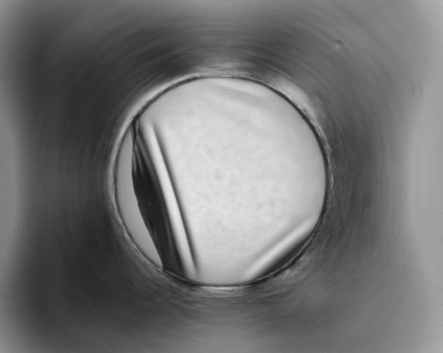 X0000093531344200711091751