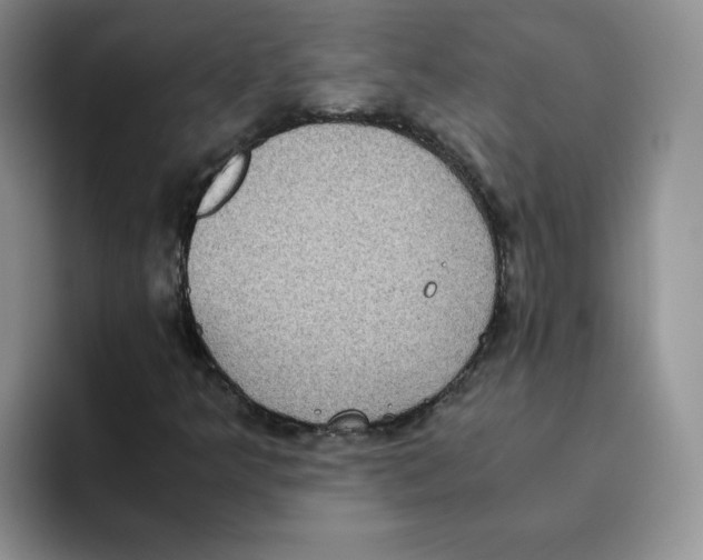 X0000093531349200711091750