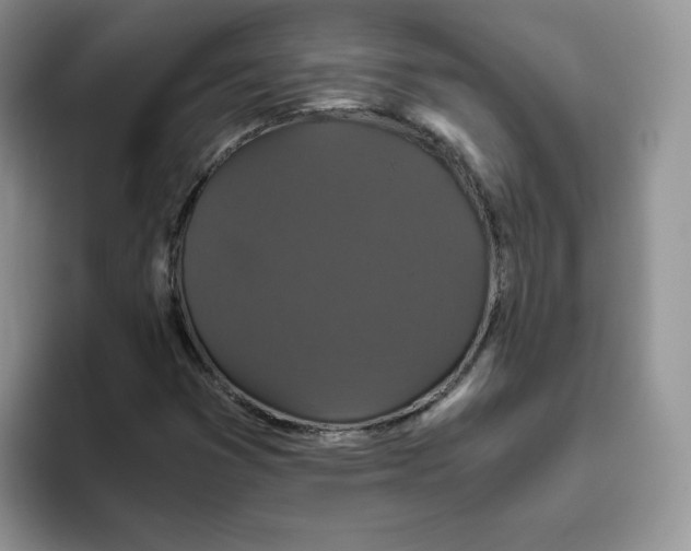 X0000093531353200711091750