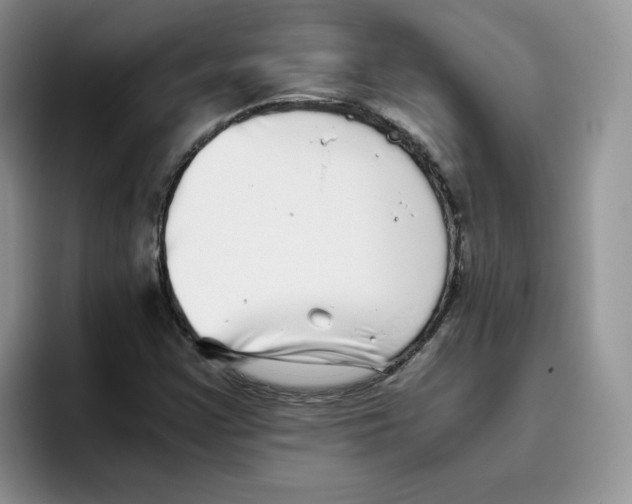 X0000093531355200711091750