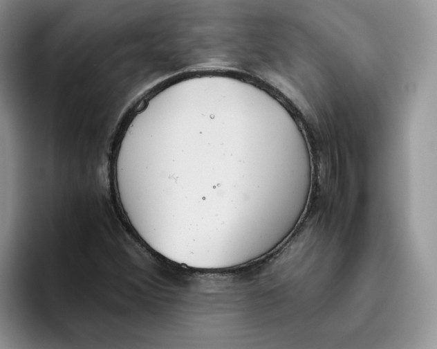 X0000093531356200711091750