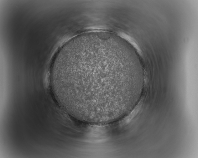 X0000093531357200711091750