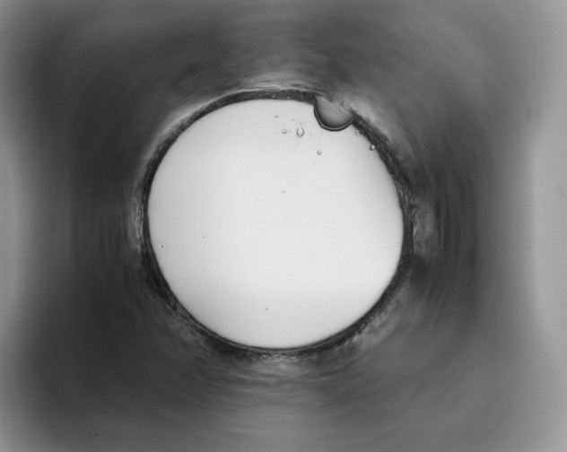 X0000093531358200711091750