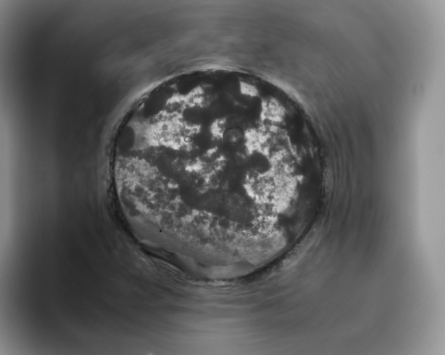 X0000093531359200711091750