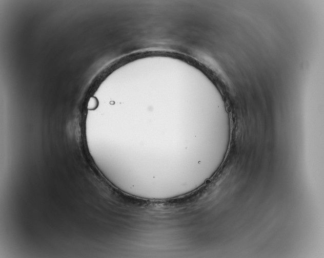 X0000093531360200711091750