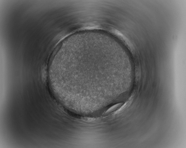 X0000093531361200711091750