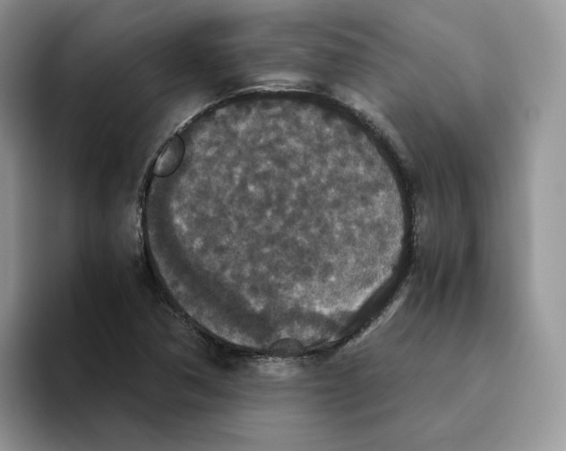 X0000093531362200711091750