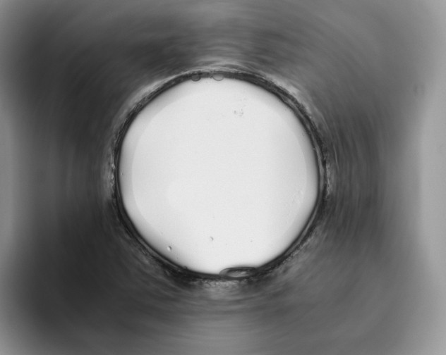 X0000093531363200711091750