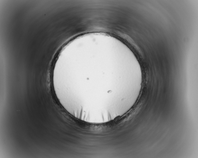 X0000093531364200711091750