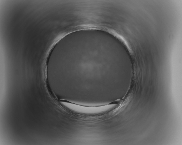 X0000093531365200711091750