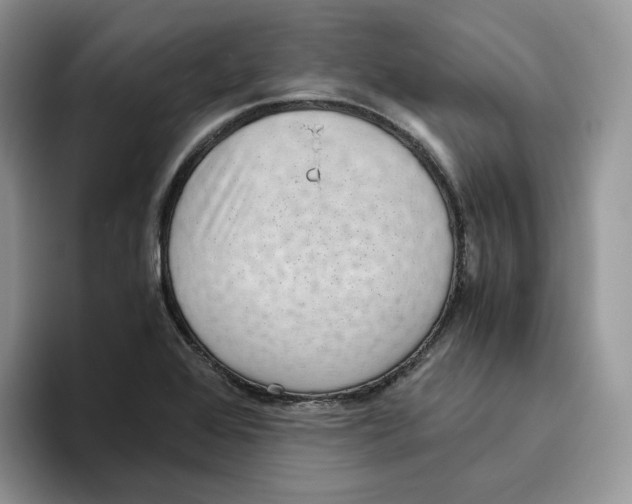 X0000093531368200711091750