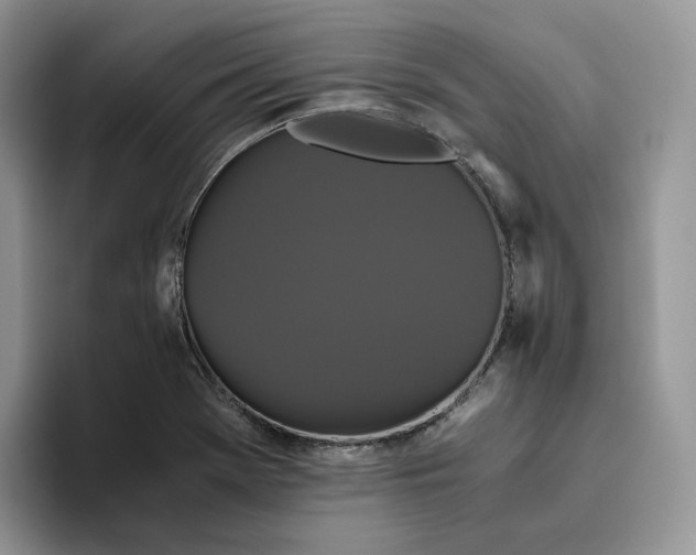 X0000093531369200711091750