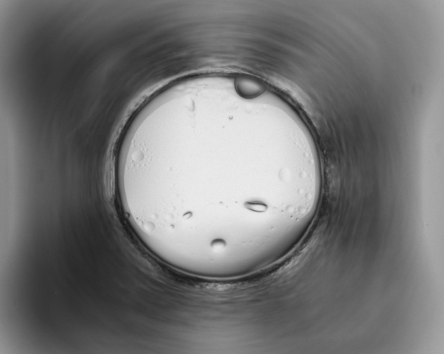 X0000093531371200711091750