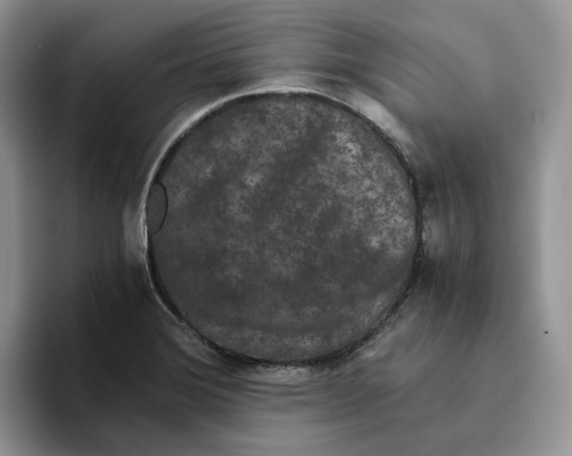 X0000093531372200711091750