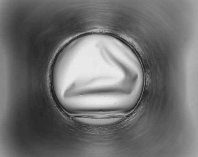 X0000093531375200711091750