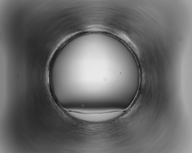 X0000093531376200711091750