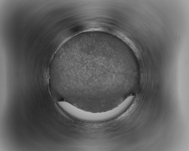 X0000093531377200711091750