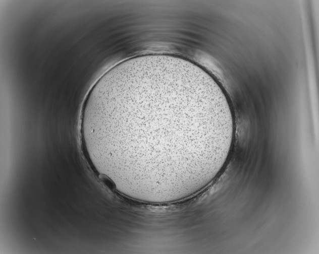 X0000093531378200711091750