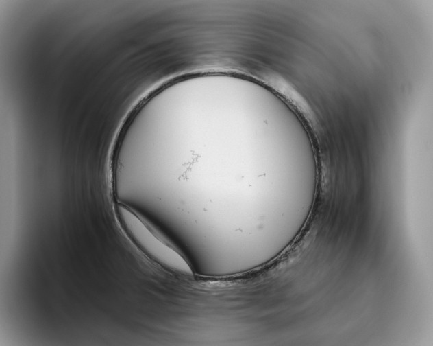 X0000093531380200711091750