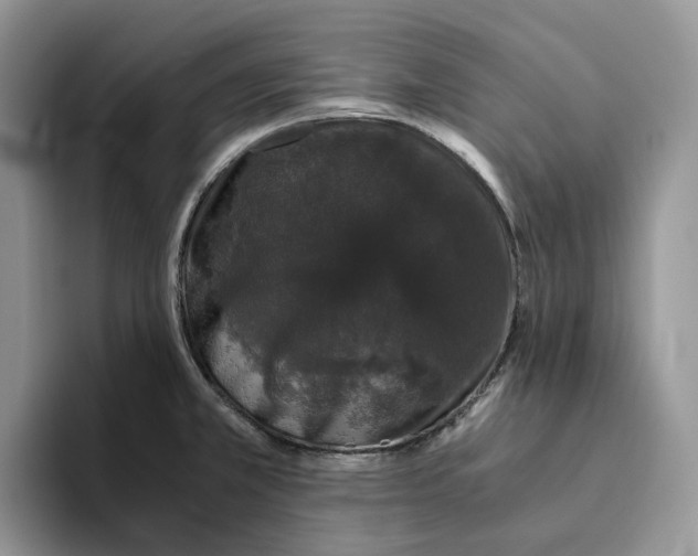 X0000093531381200711091750